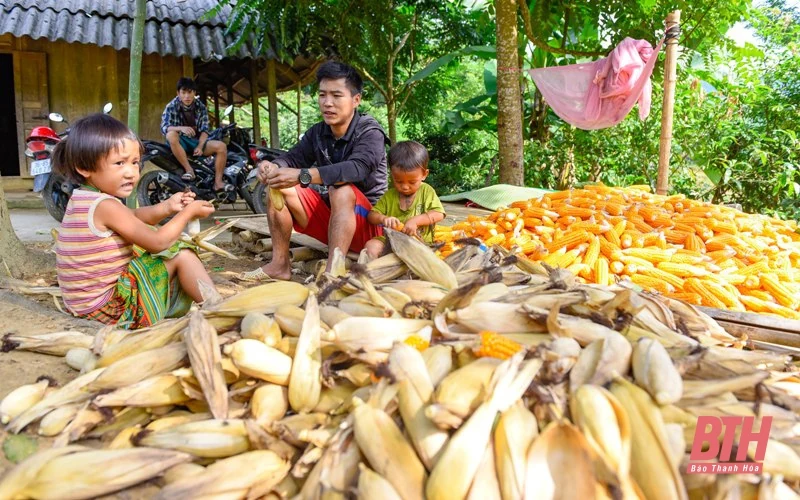 Nâng cao hiệu quả chính sách, pháp luật về phòng, chống xâm hại trẻ em dân tộc thiểu số