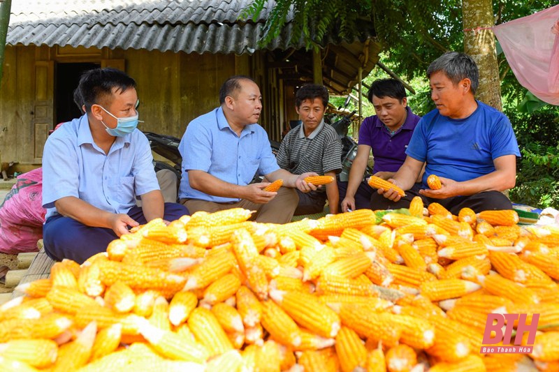 Nâng cao chất lượng dân số vùng dân tộc ít người ở huyện vùng cao Quan Hóa