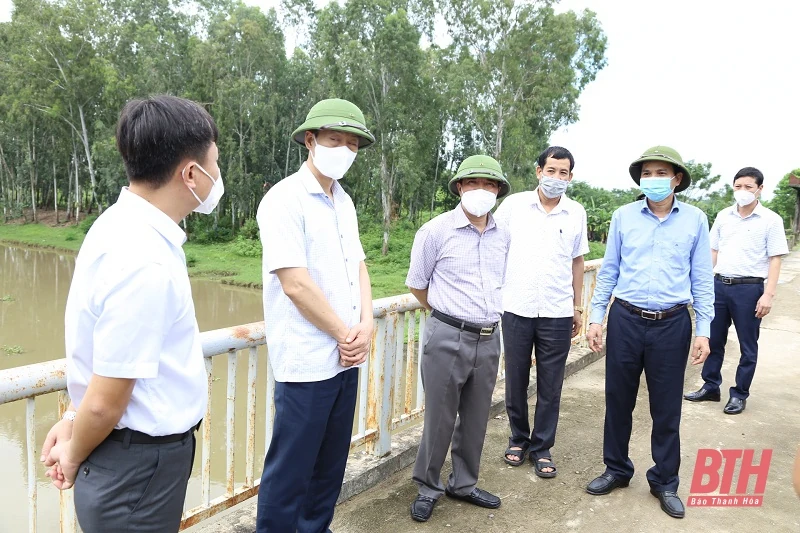 Phó Bí thư Thường trực Tỉnh ủy Lại Thế Nguyên kiểm tra công tác ứng phó với bão Conson tại huyện Hậu Lộc, Hà Trung và Nga Sơn