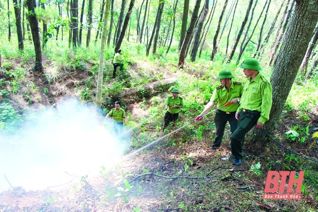 Ứng dụng khoa học công nghệ trong công tác bảo vệ rừng, phòng cháy, chữa cháy rừng