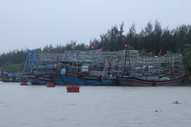 Thanh Hoá cấm biển từ 18 giờ ngày 12-10