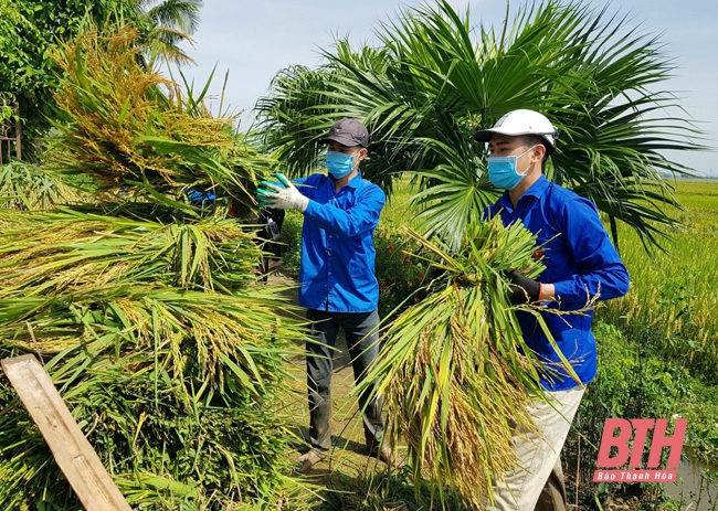 Chiến dịch “Hoa phượng đỏ” và những hoạt động ý nghĩa