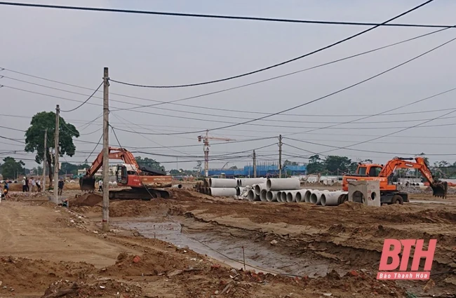 Giao đất cho Ban quản lý Khu kinh tế Nghi Sơn và các khu công nghiệp thực hiện quản lý đất đai