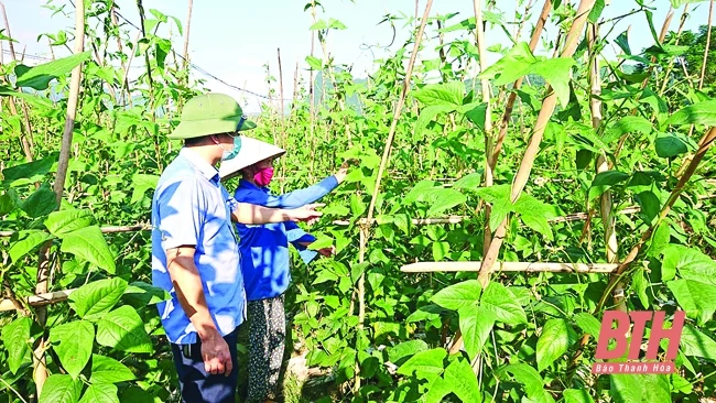 Bài 1: Tôi luyện đội ngũ cán bộ qua điều động, luân chuyển