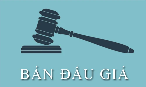 Thông báo đấu giá