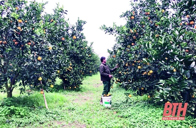 Nghị quyết 20/2021/NQ-HĐND – “Bệ đỡ” thúc đẩy khoa học và công nghệ phát triển: Bài 1 - Nghị quyết của tinh thần đổi mới
