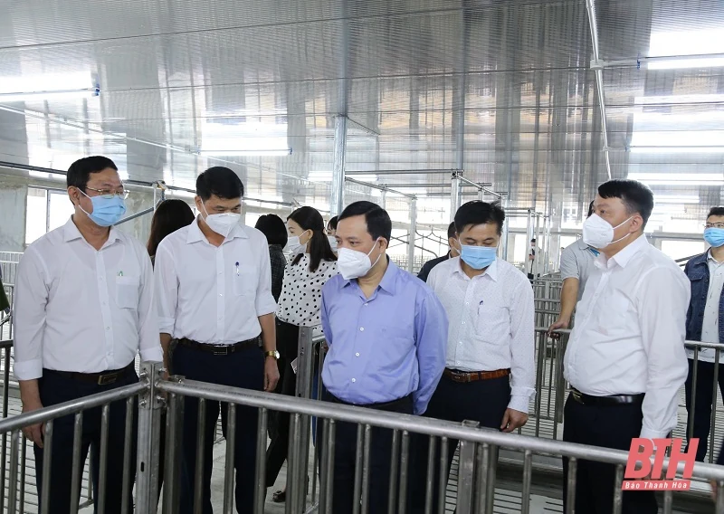Phó Bí thư Thường trực Tỉnh ủy Lại Thế Nguyên kiểm tra tiến độ thi công dự án Khu liên hợp sản xuất, chăn nuôi công nghệ cao Xuân Thiện - Thanh Hóa I