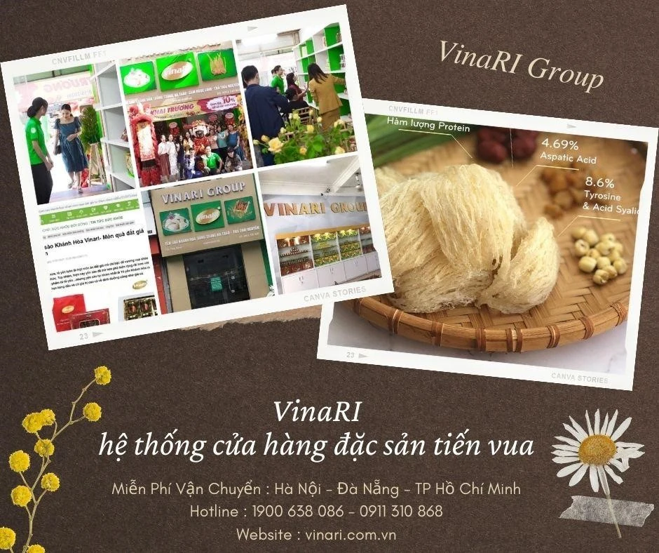 Yến sào Khánh Hòa: Quà tặng quý giá từ thiên nhiên