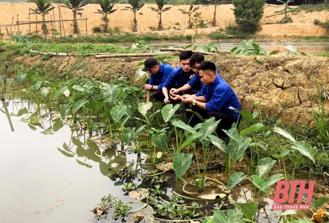 Bài 1: Tái cơ cấu nông nghiệp theo hướng năng suất, chất lượng, hiệu quả