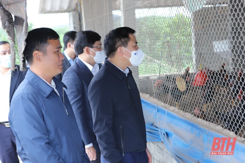 Phát triển huyện Như Xuân xứng đáng với tiềm năng, lợi thế, truyền thống văn hóa, lịch sử của quê hương