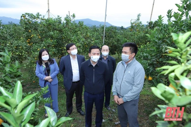Phát triển huyện Như Xuân xứng đáng với tiềm năng, lợi thế, truyền thống văn hóa, lịch sử của quê hương