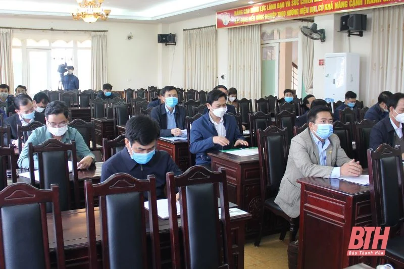 Triển khai kế hoạch phát triển sắn và phòng, chống bệnh khảm lá sắn niên vụ 2022-2023