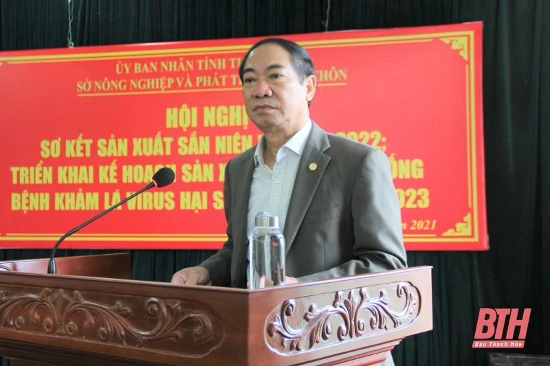 Triển khai kế hoạch phát triển sắn và phòng, chống bệnh khảm lá sắn niên vụ 2022-2023