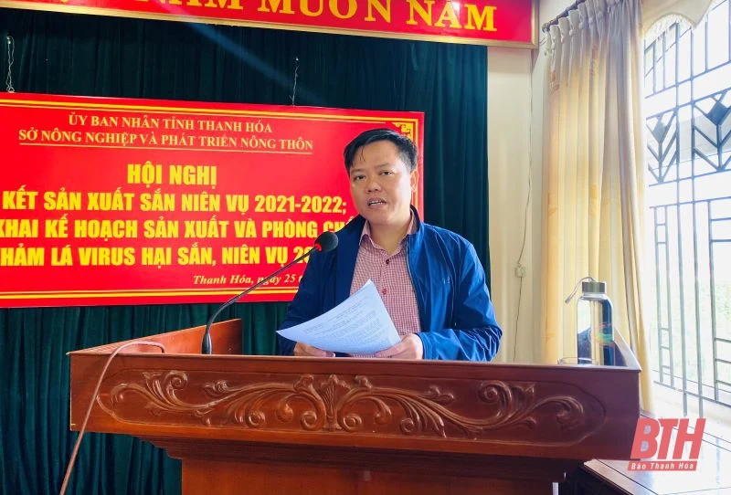 Triển khai kế hoạch phát triển sắn và phòng, chống bệnh khảm lá sắn niên vụ 2022-2023