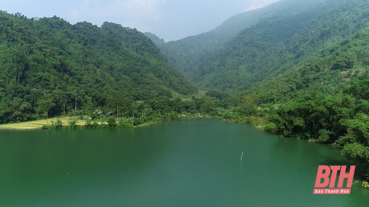 Quỹ Bảo vệ và Phát triển Rừng tỉnh Thanh Hoá : 10 năm đồng hành, giữ màu xanh cho rừng