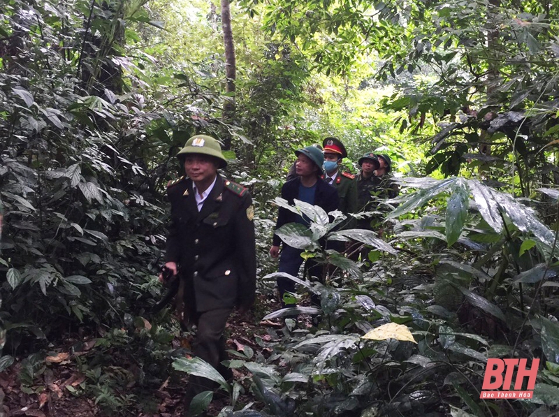 Tăng cường bảo vệ rừng giáp ranh giữa hai tỉnh Thanh Hóa - Nghệ An