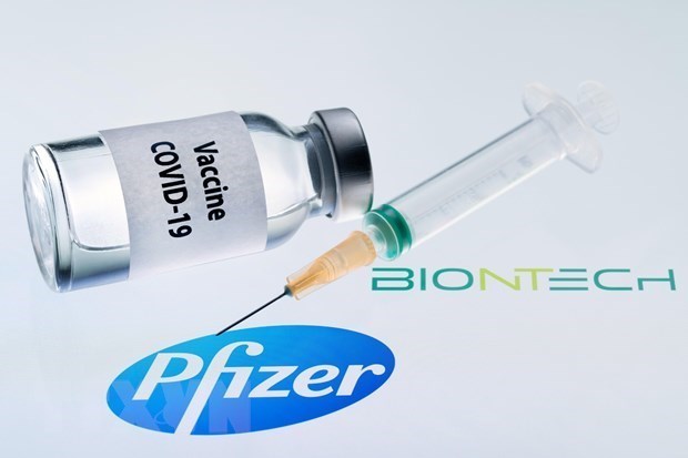 Đức, Áo bác bỏ thuyết âm mưu về việc tăng hạn sử dụng vaccine Pfizer
