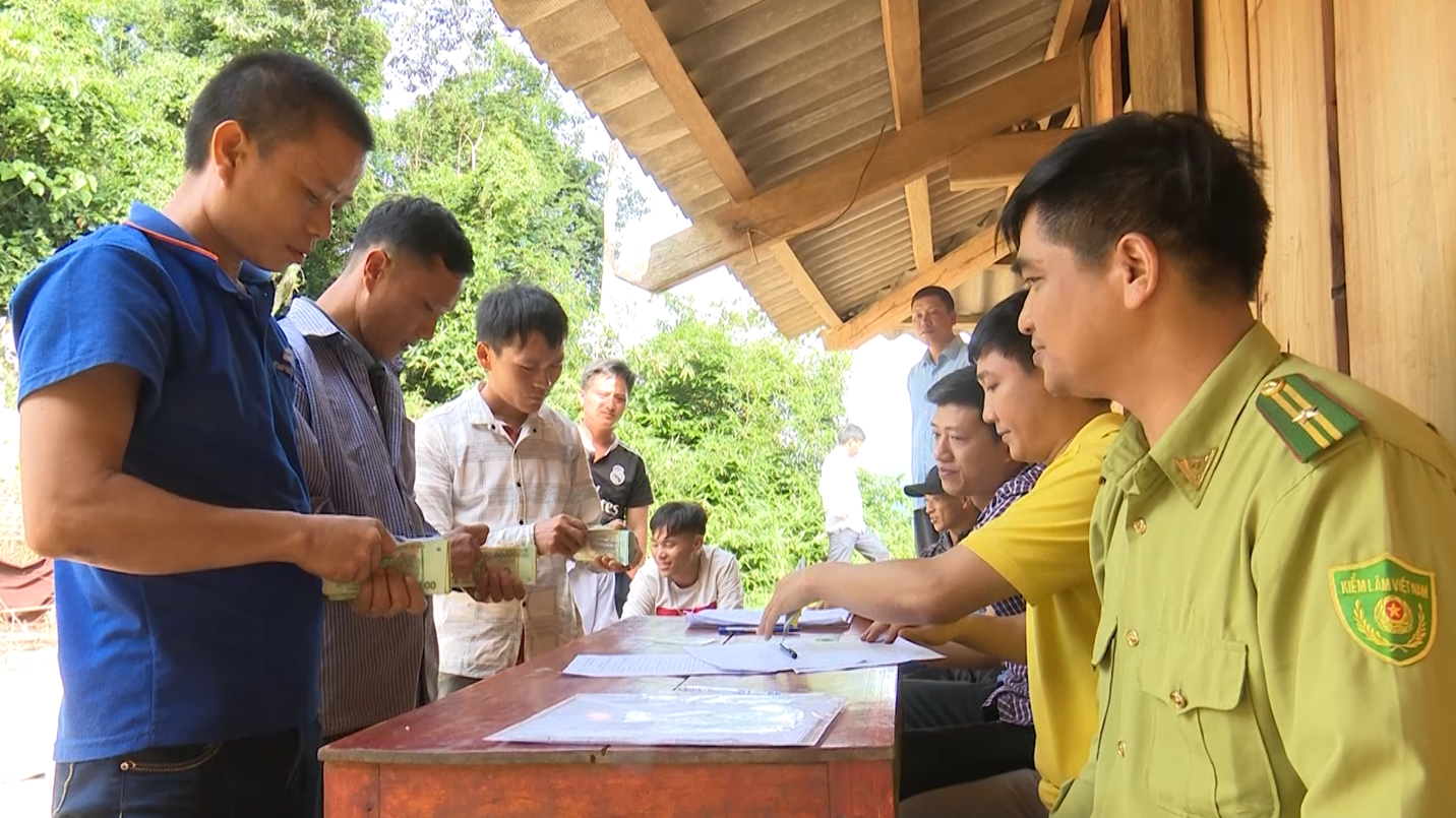 Bảo đảm tiến độ chi trả dịch vụ môi trường rừng