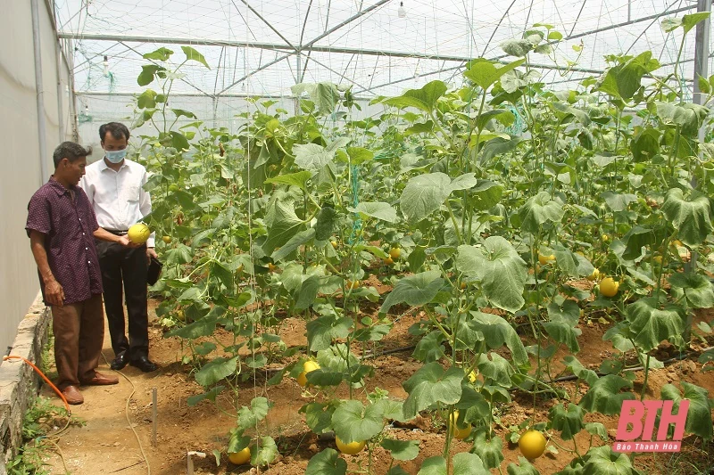 Báo cáo tình hình kinh tế - xã hội năm 2021, kế hoạch phát triển năm 2022