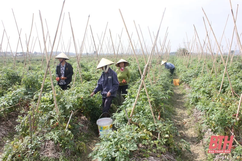 60 năm vang vọng lời dạy của Người