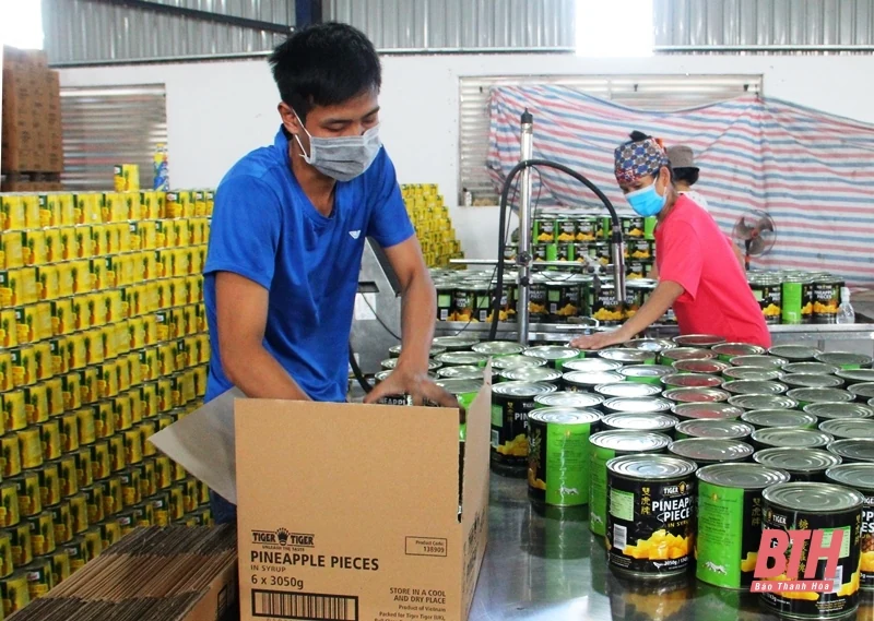 Tiếp tục tăng cường công tác lãnh đạo, chỉ đạo thực hiện chính sách bảo hiểm xã hội, bảo hiểm y tế theo tinh thần các nghị quyết của Trung ương