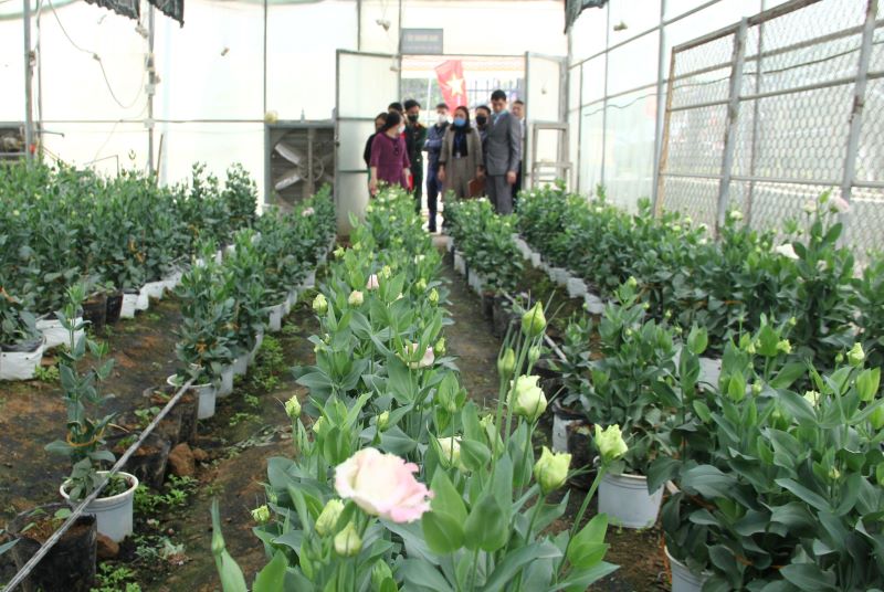 Xuân Hòa đủ điểu kiện đề nghị công nhận xã Nông thôn mới kiểu mẫu