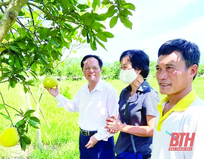 Bản lĩnh khởi nghiệp của những “vầng trăng khuyết”