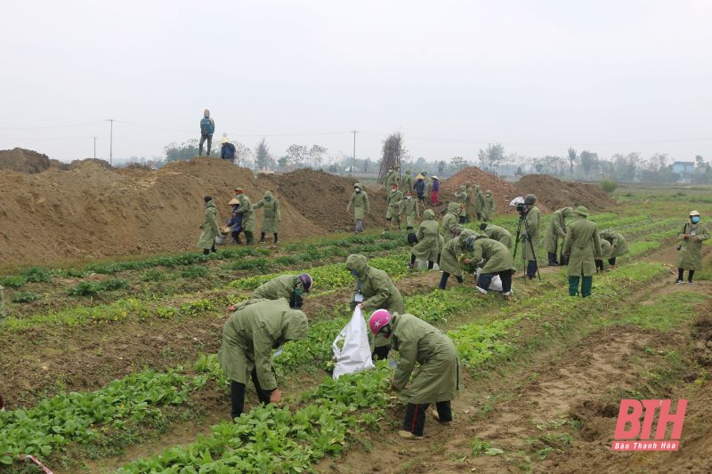 Huyện Hoằng Hóa tổ chức cưỡng chế thu hồi đất thực hiện dự án Khu dân cư thương mại và chợ Vực, xã Hoằng Ngọc