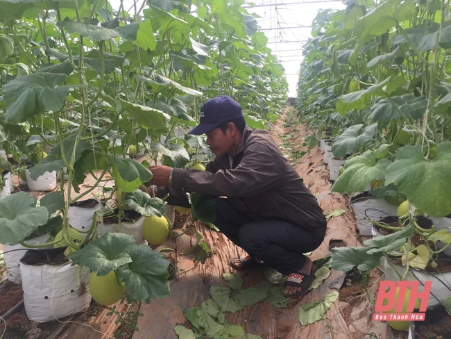 Xã Nga Thành nâng cao chất lượng tiêu chí nông thôn mới
