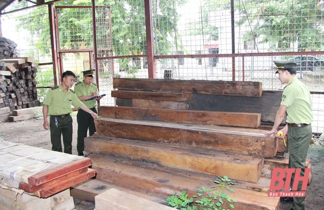 Tăng cường phòng cháy, chữa cháy rừng, đấu tranh chống buôn lậu lâm sản trái phép