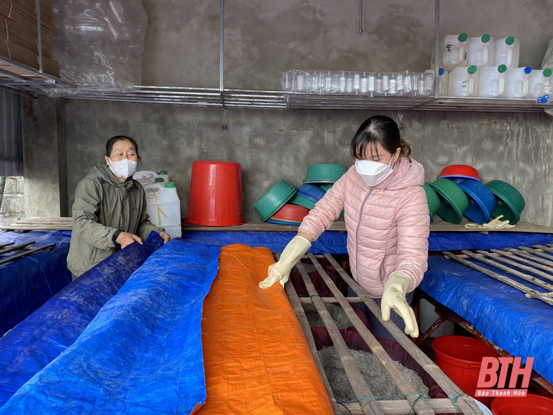 Để phát triển nghề chế biến thủy, hải sản ở huyện Hoằng Hóa