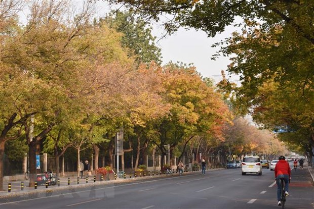 Bắc Kinh lần đầu tiên đáp ứng tiêu chuẩn chất lượng không khí quốc gia