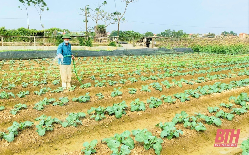 Nông nghiệp – một năm vượt “bão dịch”