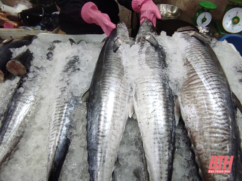 Phong phú thị trường hải sản dịp cuối năm