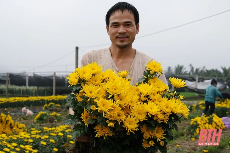 Làng hoa Đông Cương những ngày cuối năm