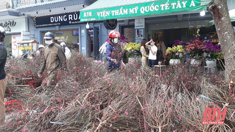 Nhộn nhịp không khí Tết tại TP Thanh Hóa