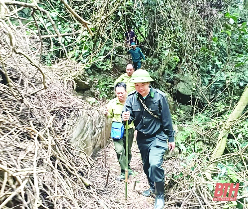 Ban Quản lý Khu Bảo tồn thiên nhiên Pù Luông tăng cường công tác bảo vệ rừng, tạo sinh kế cho người dân