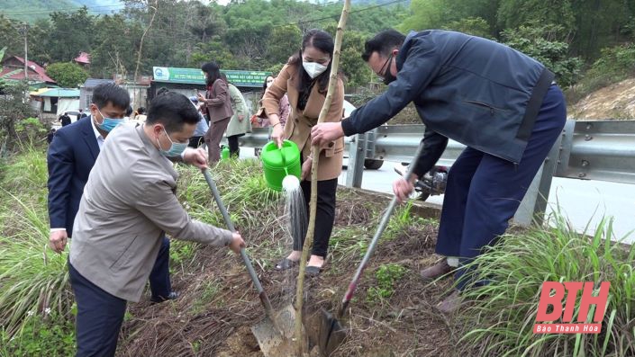 Các địa phương, đơn vị trong tỉnh sôi nổi tổ chức Tết trồng cây Xuân Nhâm Dần năm 2022
