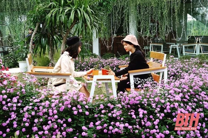 Xu hướng du xuân trải nghiệm đầu năm mới