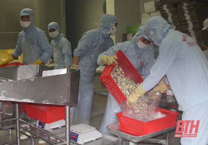 Để khai thác hiệu quả các FTA