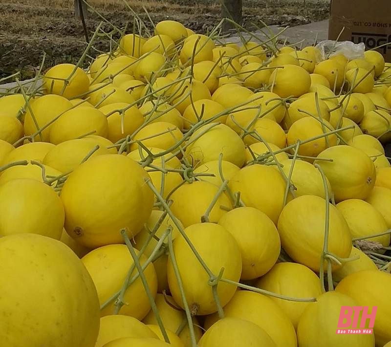 Hội LHPN huyện Thiệu Hóa: Nhiều hoạt động chào mừng Đại hội đại biểu phụ nữ toàn quốc lần thứ XIII
