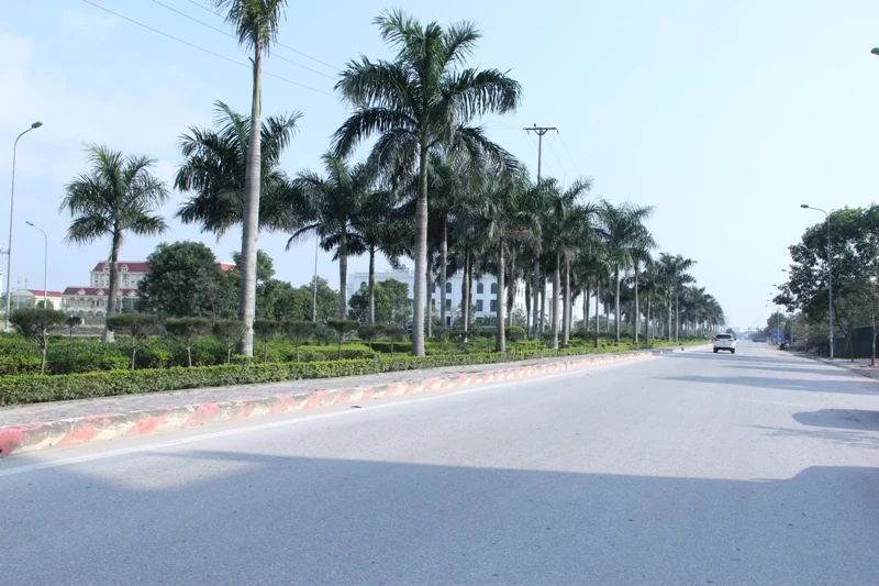 Chủ tịch UBND tỉnh Đỗ Minh Tuấn tiếp và làm việc với đoàn công tác Ngân hàng Phát triển Châu Á