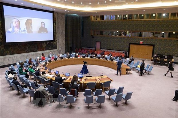 Các nước đề nghị Hội đồng Bảo an họp khẩn về tình hình Ukraine