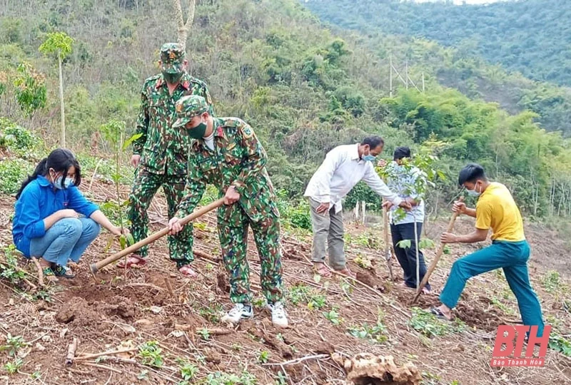 Phong trào trồng rừng, trồng cây đầu năm