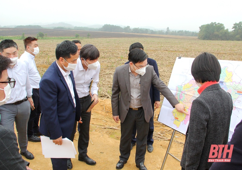 Doanh nghiệp Nhật Bản tiếp tục khảo sát tìm kiếm cơ hội hợp tác, đầu tư tại tỉnh Thanh Hoá
