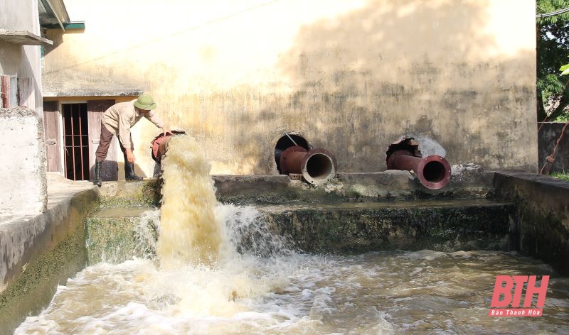 Dự báo khoảng 26.500 ha lúa đông xuân có nguy cơ thiếu nước
