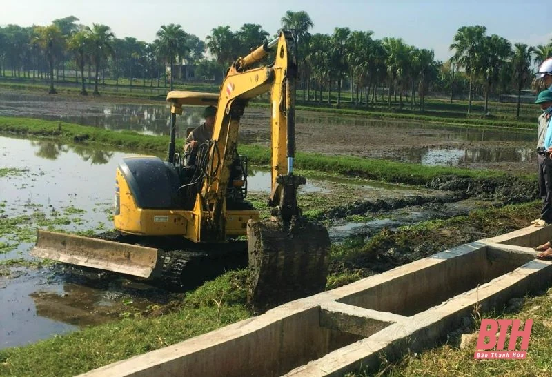 Dự báo khoảng 26.500 ha lúa đông xuân có nguy cơ thiếu nước