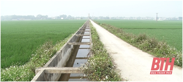 Huyện Thọ Xuân hỗ trợ xây dựng hạ tầng các khu sản xuất nông nghiệp tập trung