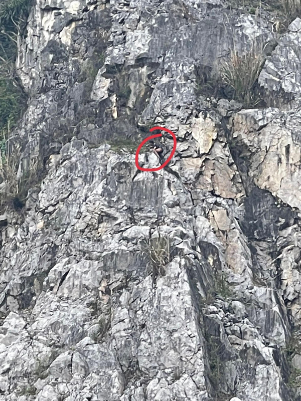 Thuyết phục đưa thanh niên trên vách đá cao 100 m xuống dưới an toàn