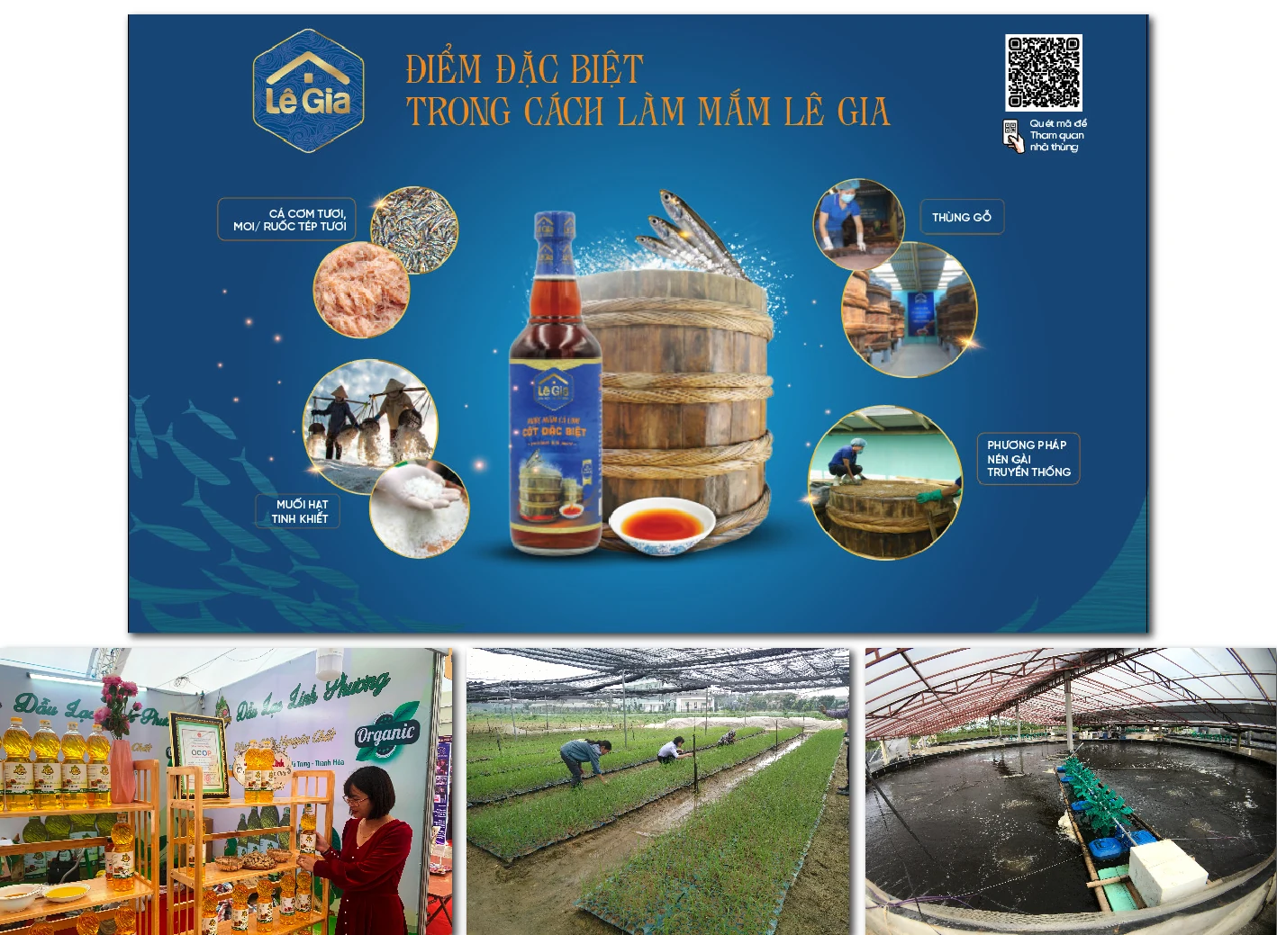 [E-Magazine] - Khơi thông nguồn lực, tăng sức hút đầu tư